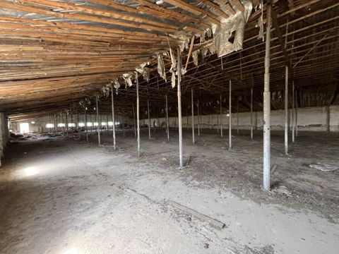 Anbar və. Ya sex kimi arendiya verilir 1500 kv Tikili kənd — Digah