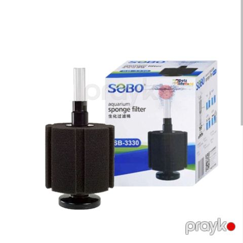 Sobo pipo — Bakı