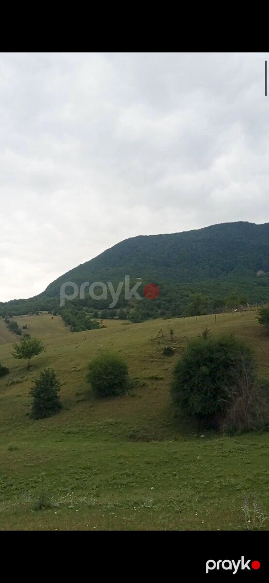 50 sot torpaq sahəsi, Şamaxı r — Torpaq, Şamaxı (6)