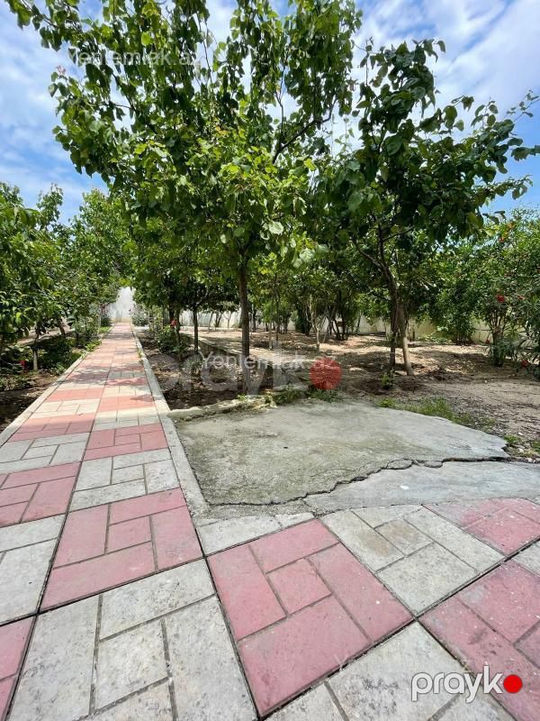 Satılır 6 otaqlı Həyət evi / Villa, 180 m², Novxanı — Ev, villa, Abşeron (6)