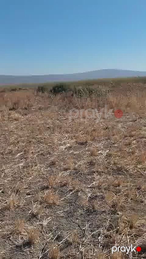 147 sot torpaq sahəsi, Hacıqabul r — Hacıqabul