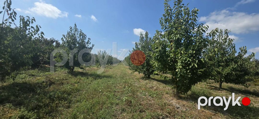 Satılır torpaq 300 sot — Torpaq, Xaçmaz (2)
