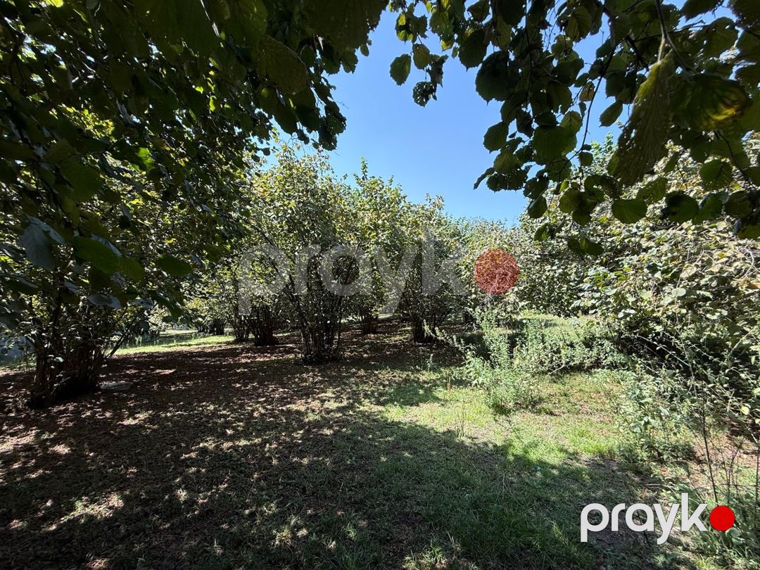 Həyət evi, Qəbələ ş — Ev, villa, Qəbələ (11)