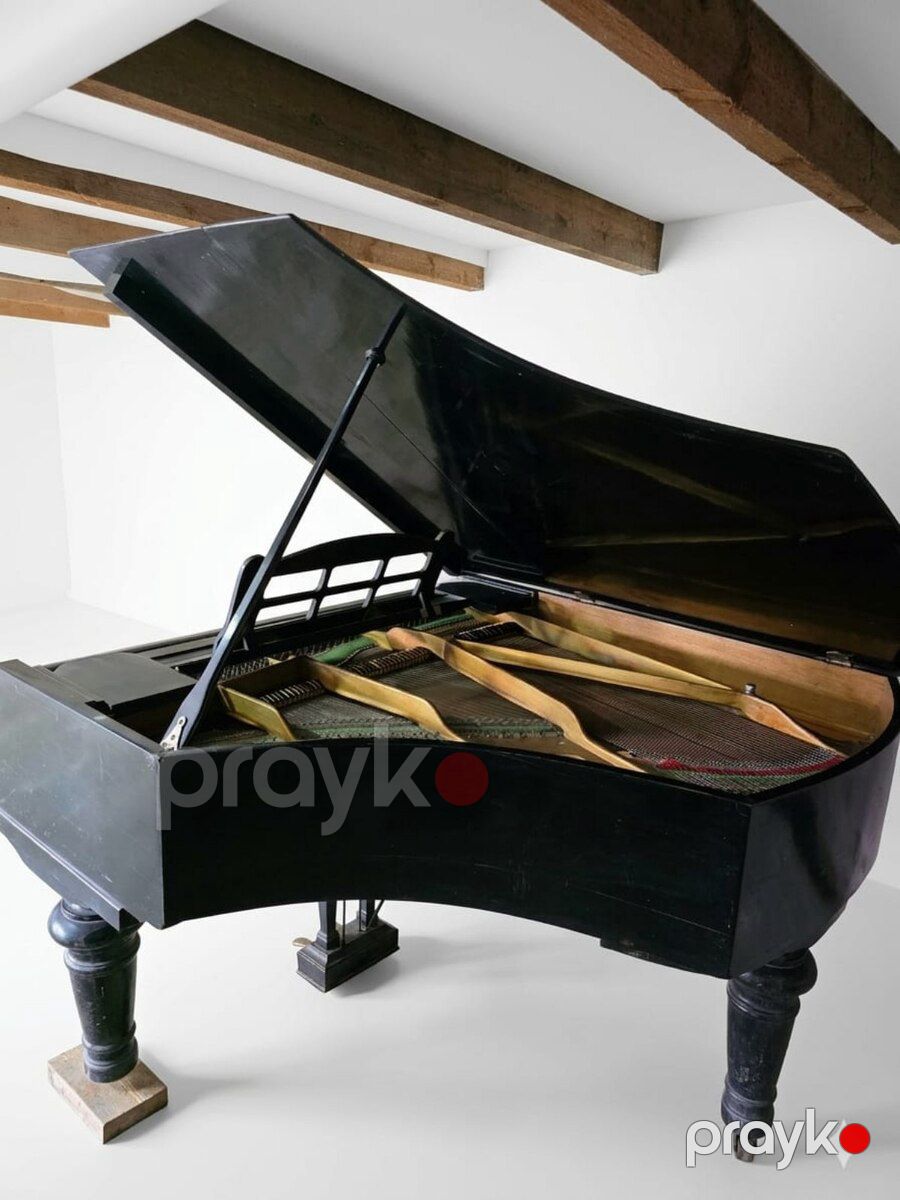 Piano Royal — Musiqiə alətləri, Astara (5)