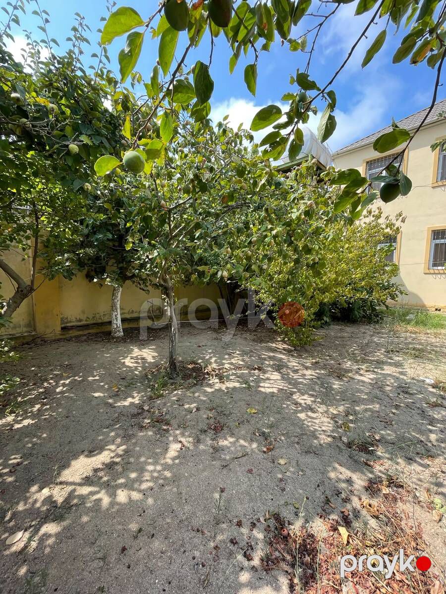 Satılır 5 otaqlı həyət evi/bağ evi 230 m² — Ev, villa, Bakı (3)