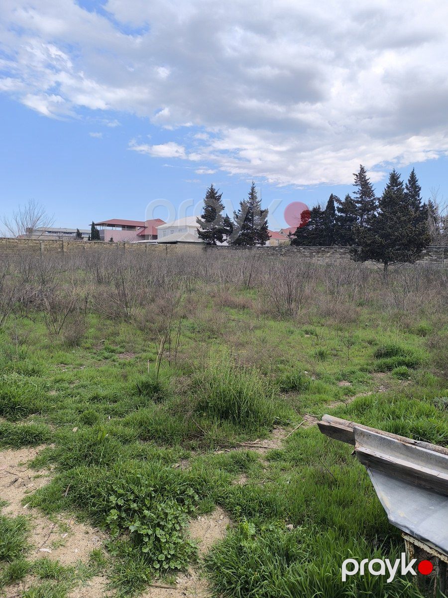 Satılır torpaq 24 sot — Torpaq, Bakı (3)