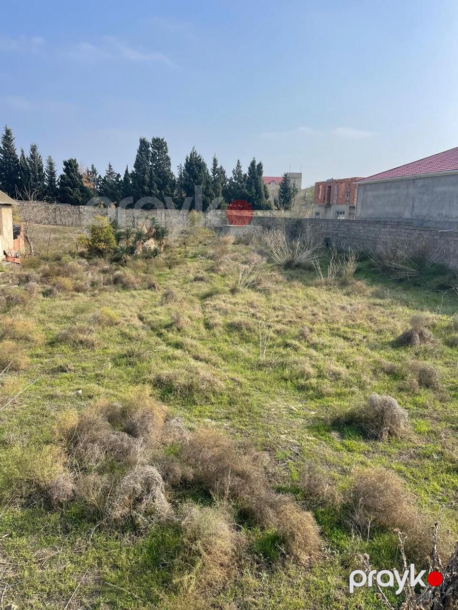 Satılır torpaq 24 sot — Torpaq, Bakı (4)