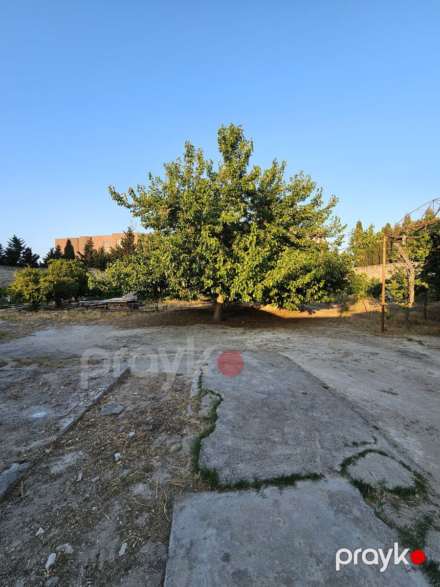 Satılır torpaq 7.5 sot — Torpaq, Bakı (9)