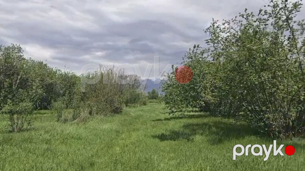 15 sot, Biznes üçün, Mülkiyyətçi, Kupça (Çıxarış) — Torpaq, Qəbələ (4)