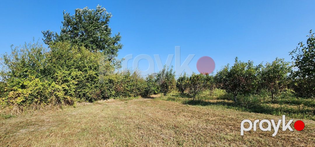80 sot torpaq sahəsi, Xudat r — Torpaq, Xudat (11)