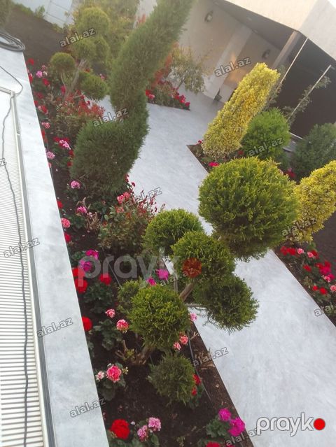 Bağban axran işderi axtarıram bağa ayid bütün işlər işdəyirəm qazon — Bakı