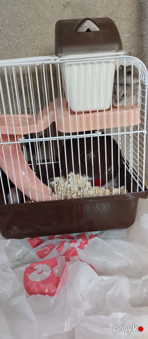 Hamster üçün çoxfunksiyalı qəfəs - Kompakt iki mərtəbəli dizayn — Quba