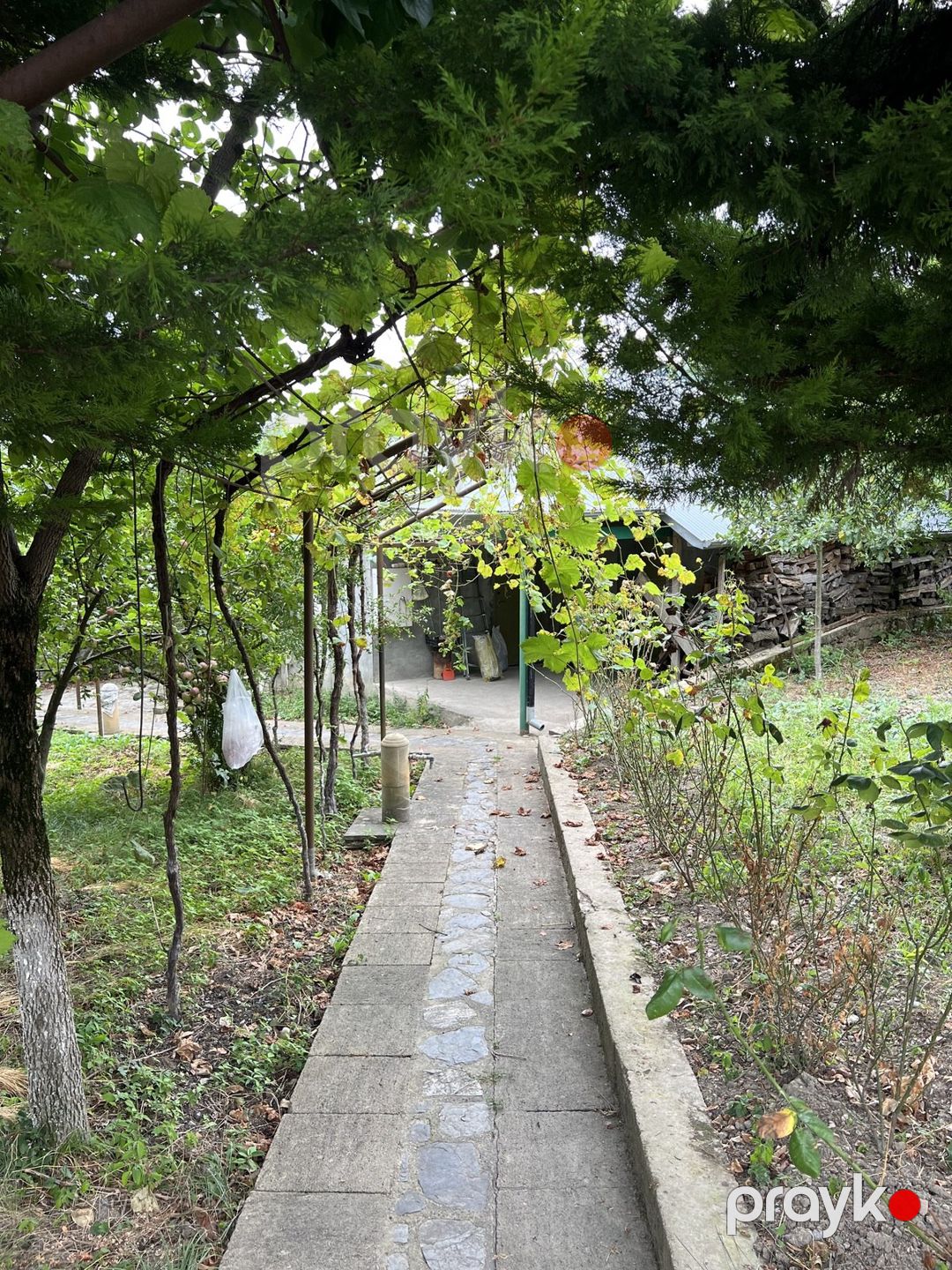 Satılır 7 otaqlı həyət evi/bağ evi 110 m² — Ev, villa, Oğuz (11)