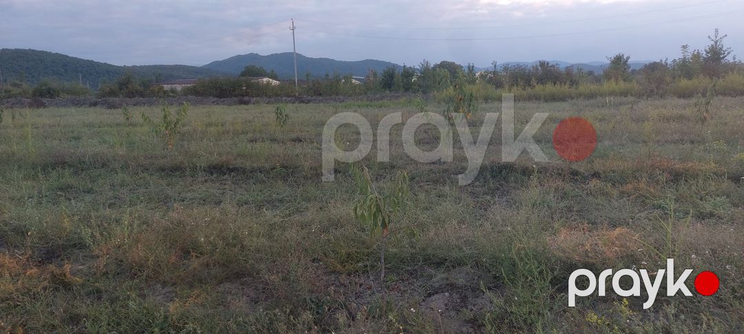 Satılır torpaq 61 sot — Torpaq, Quba (7)