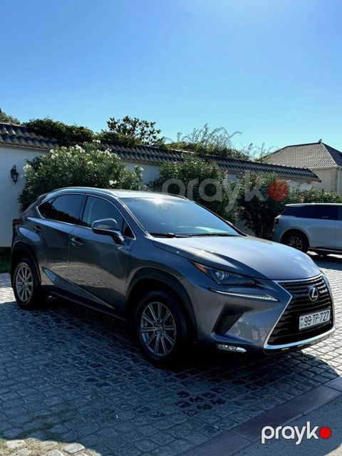Lexus NX 300, 2.0 L, 2019 il, 117 000 km — Bakı