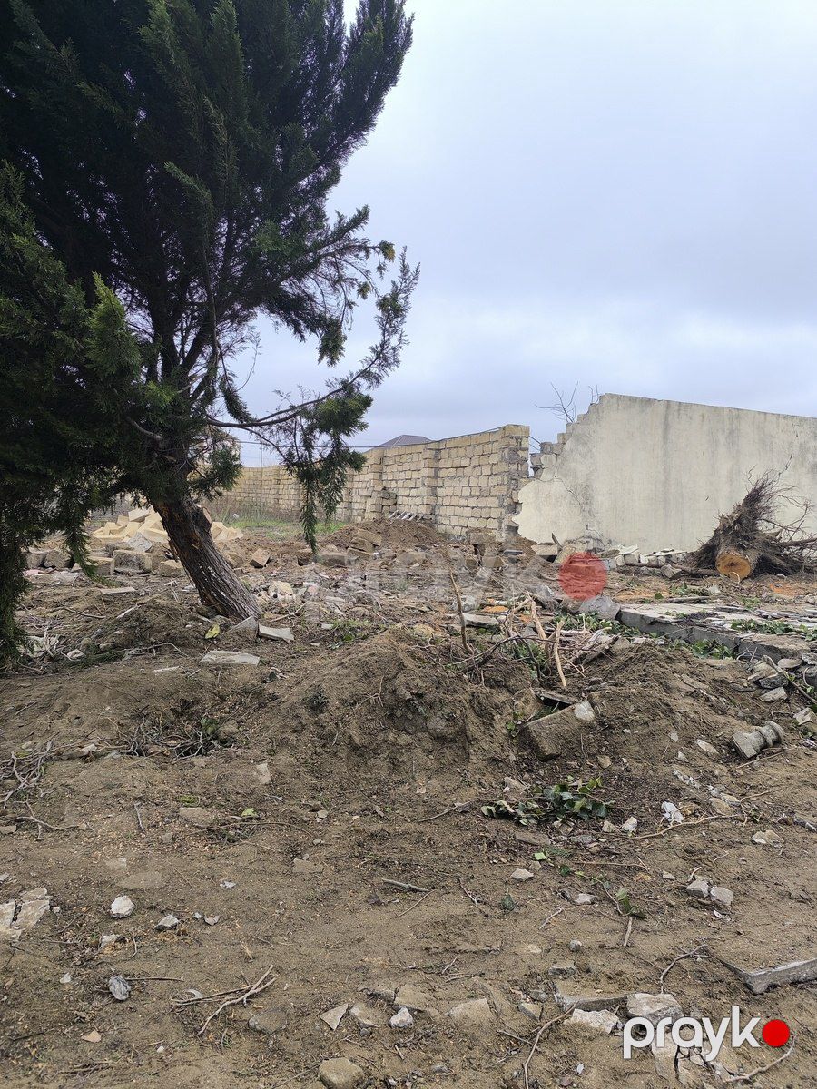 Satılır torpaq 6 sot — Torpaq, Bakı (3)