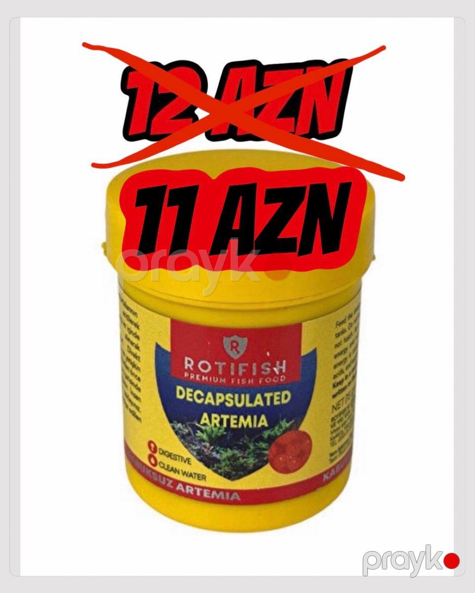 Akvarium üçün avadanlıqlar — Akvariumlar və balıqlar, Bakı (2)