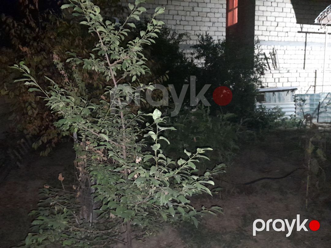 Həyət evi, Masazır qəs — Ev, villa, Bakı (4)