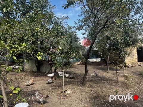 4 sot torpaq sahəsi, Lerik r — Lerik