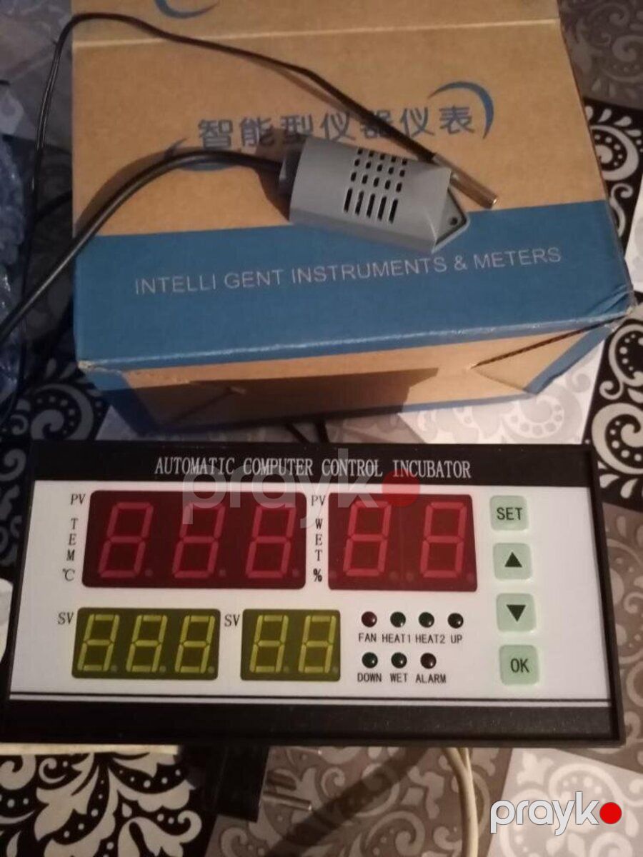 Avtomatik inkubator beyni — Biznes və avadanlıq, Bakı (2)