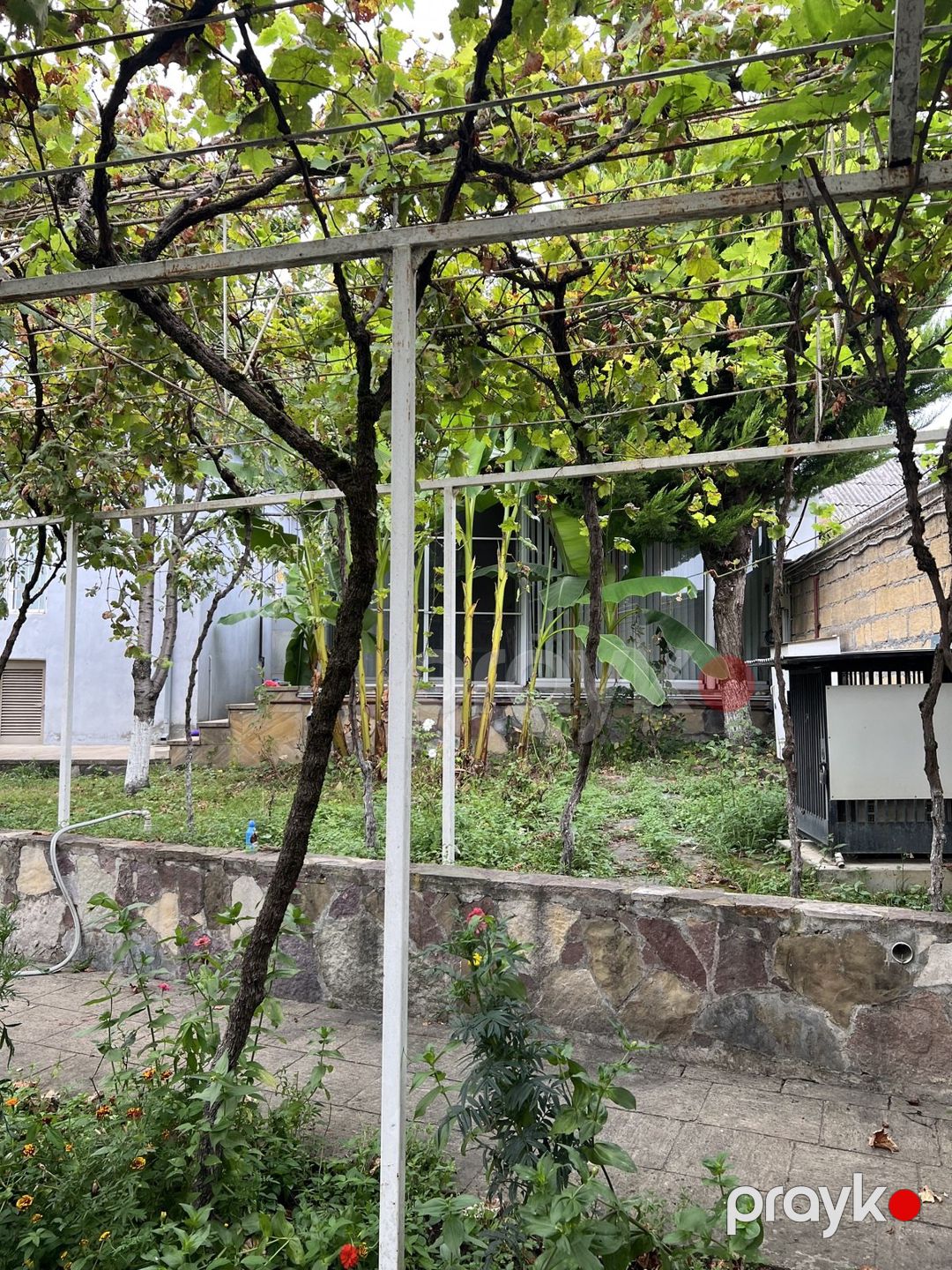 Satılır 7 otaqlı həyət evi/bağ evi 110 m² — Ev, villa, Oğuz (6)
