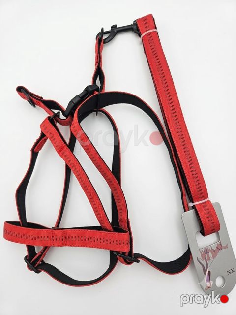 Qayış 92998420, itlər üçün, qırmızı — Bakı