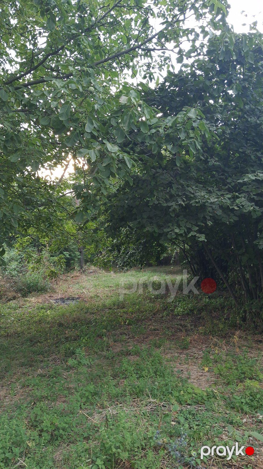 20 sot torpaq sahəsi, İsmayıllı r — Torpaq, İsmayıllı (6)