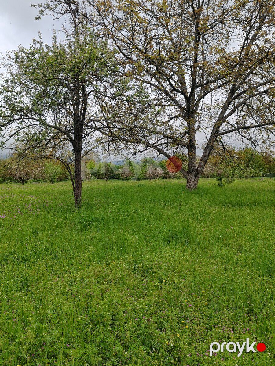 66 sot torpaq sahəsi, Qəbələ r — Torpaq, Qəbələ (8)