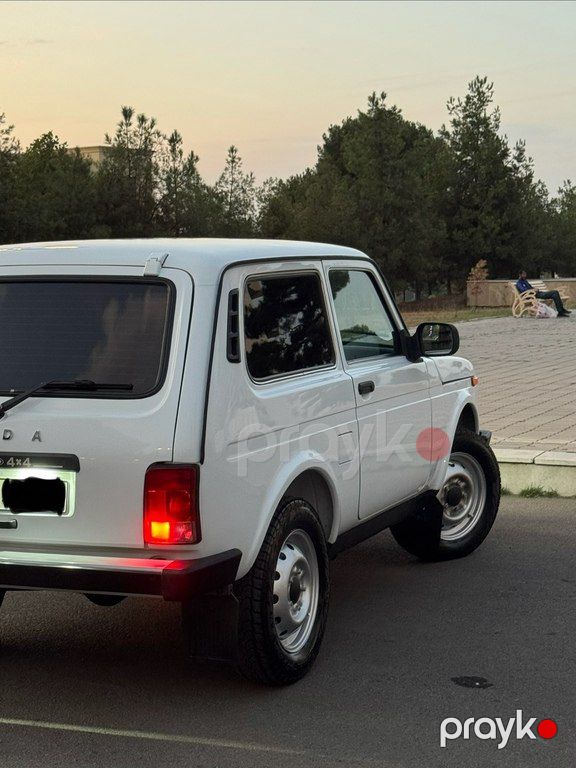 Lada (VAZ) Niva, 1.9 L, 2012 il, 115 000 km — Avtomobillər, Gəncə (4)