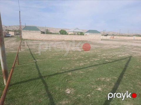 5 sot, Tikinti, Kupça (Çıxarış) — Mingəçevir