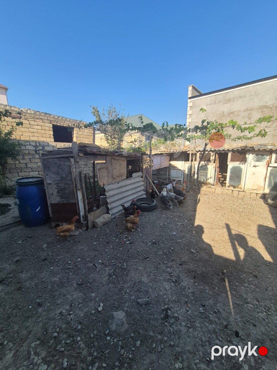 Həyət evi, Saray qəs — Ev, villa, Bakı (6)