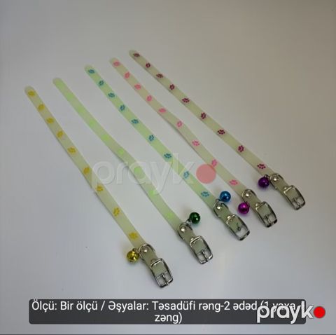 It və pişik xaltalıq — Bakı