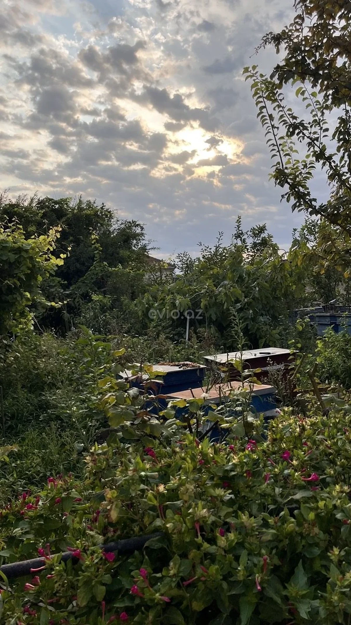 Kirayə 3 otaqlı həyət evi Bakıxanov qəsəbəsində — Ev, villa, Bakı (9)