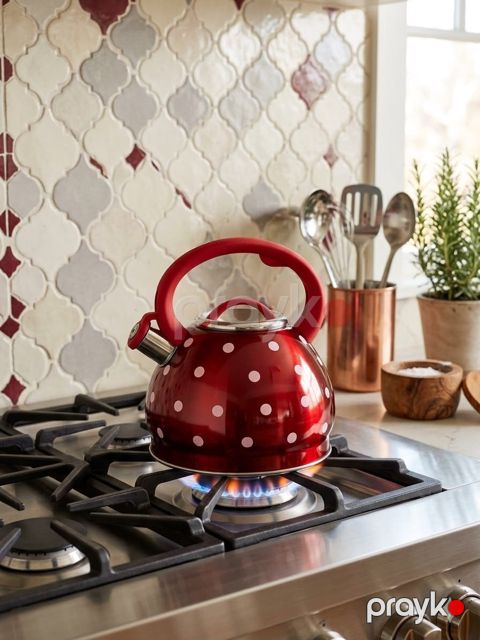 Çaydan No Brand 0309501_RB, 3 l — Bakı