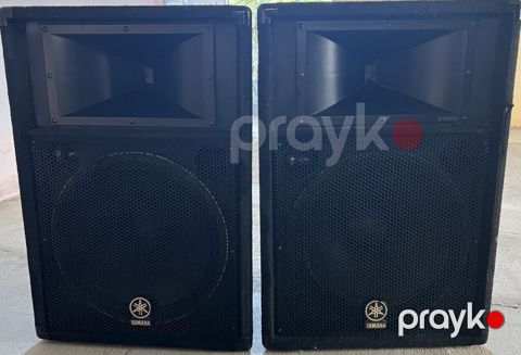 Yamaha akustik kolonkalari, cüt olaraq təqdim olunur. Şəkillərdə — Ağsu