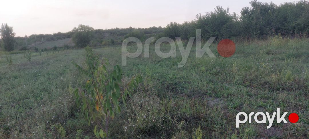 Satılır torpaq 61 sot — Torpaq, Quba (11)