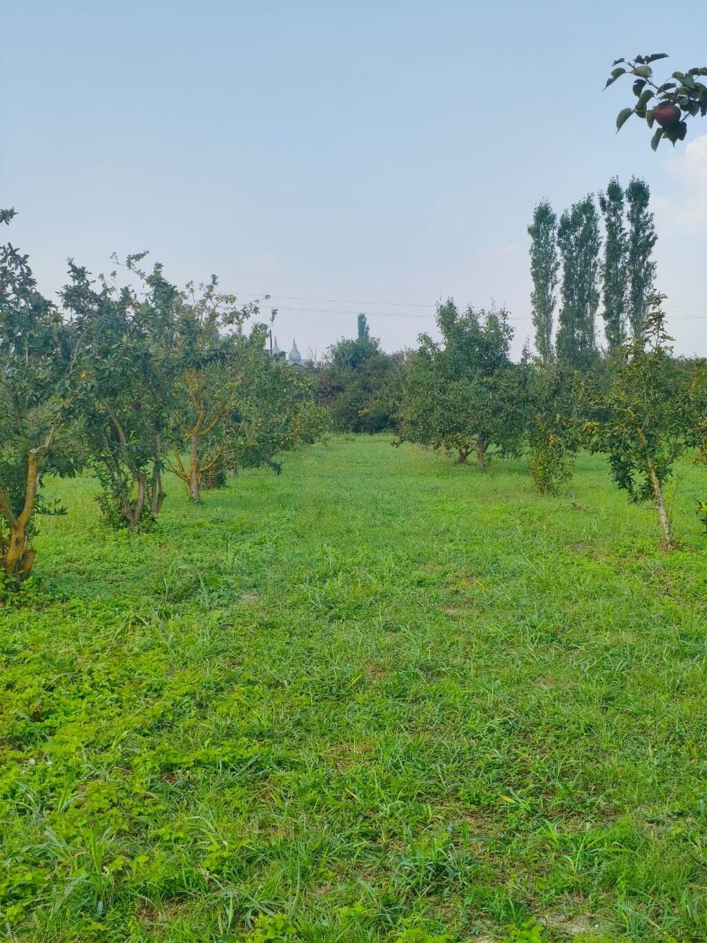 156 sot Kənd təsərrüfatı, Su — Torpaq, Bakı (5)