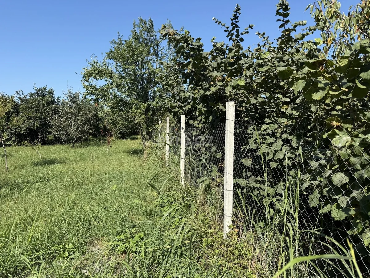 Torpaq sahəsi satılır Xaçmazda — Torpaq, Xaçmaz (7)