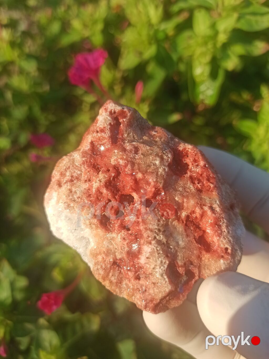 Təbii kolleksiya daşı – qırmızı-russet rəng keçidli, ağ-kvarsvari — Digər, Sumqayıt (3)