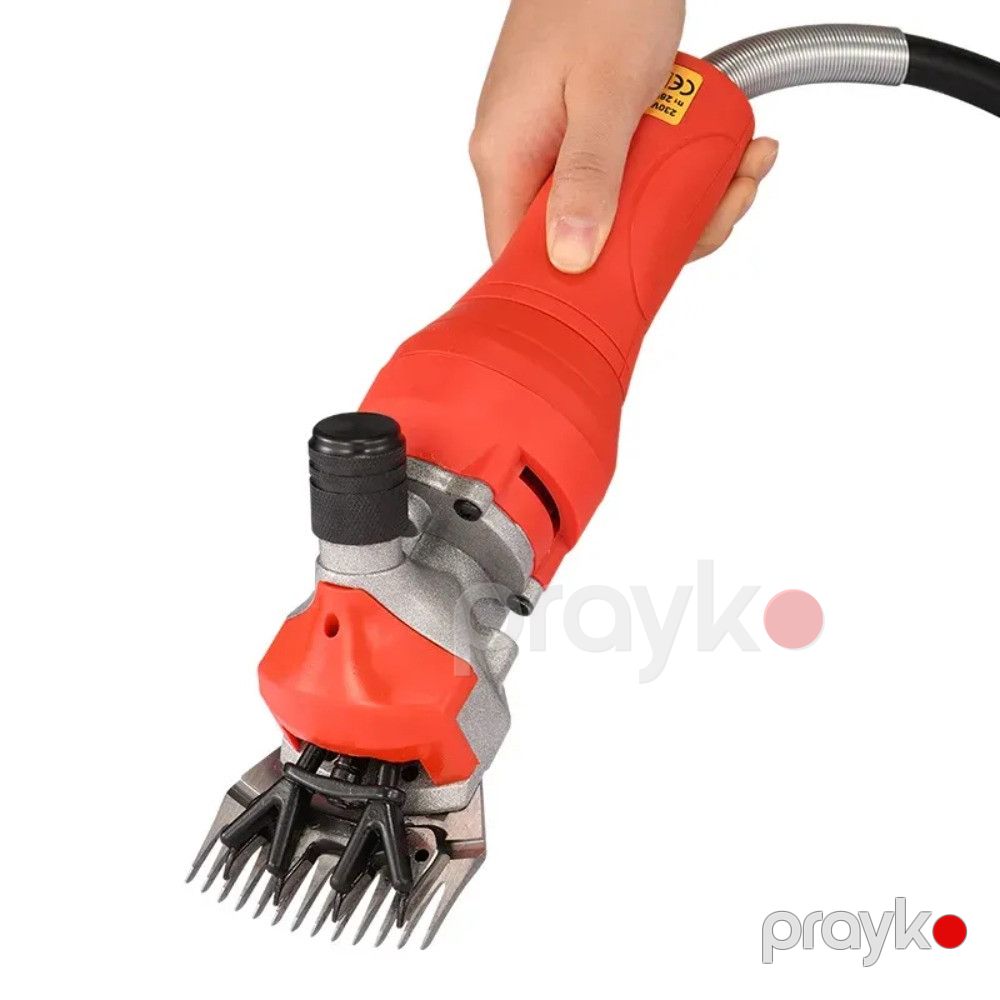Fırça-trimmer, Paslanmayan polad — Mallar, Bakı (2)