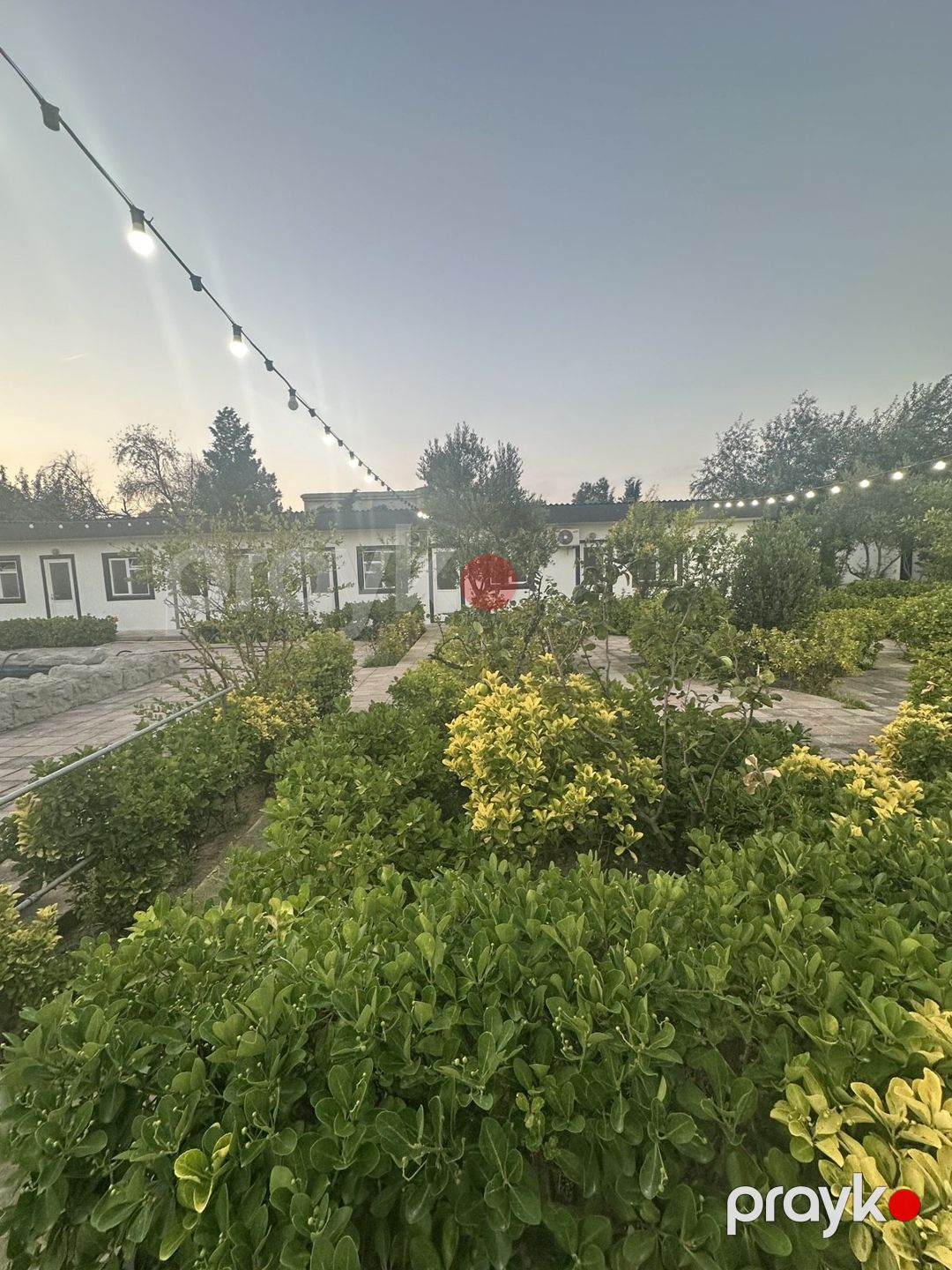 Satılır obyekt 2500 m² — Əmlak, Bakı (12)