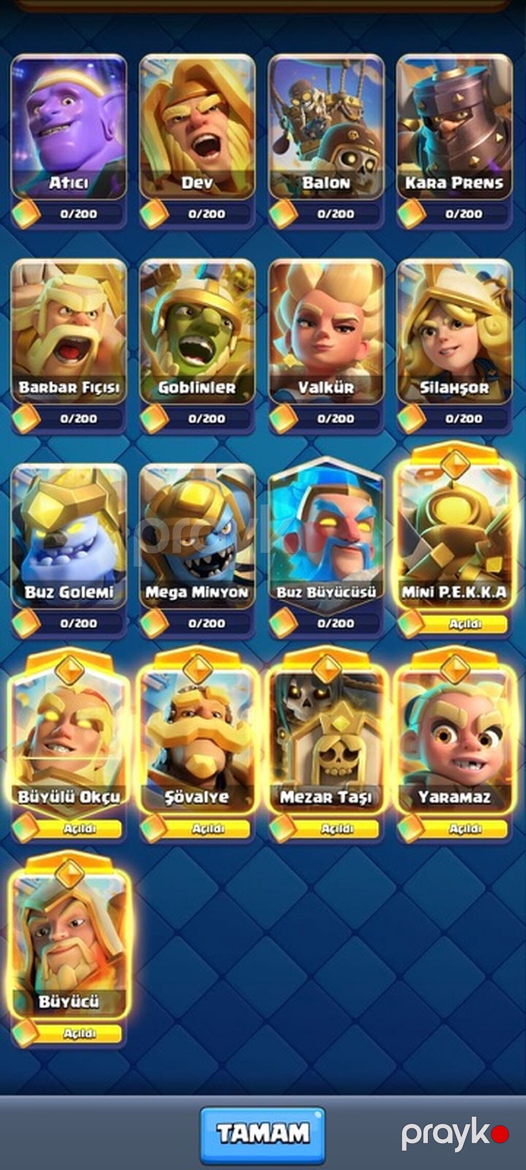 Clash Royale oyun hesabı – eInur5555 - Klan: “Beyaz Ölüm” (Böyük) — Şəxsi əşyalar, Masazır (7)