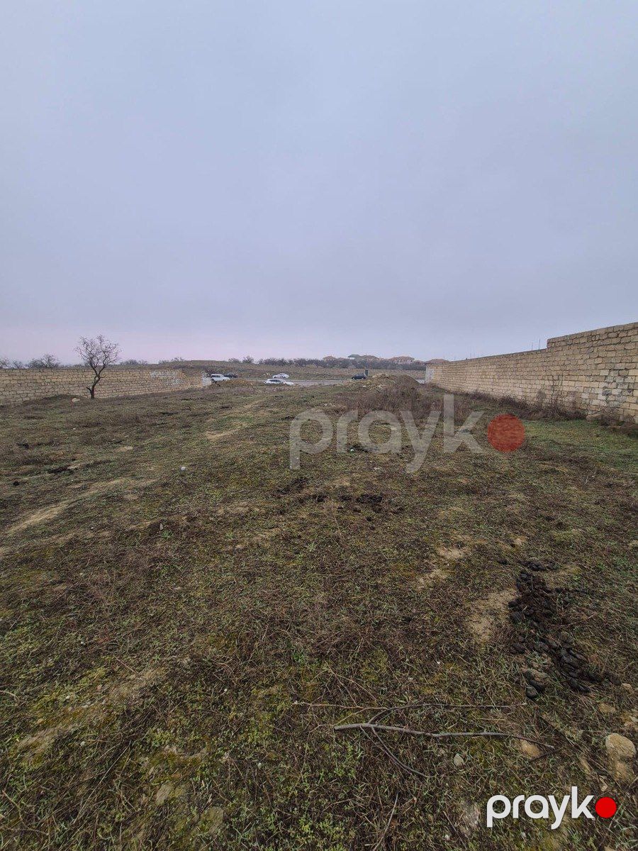 14 sot torpaq sahəsi, Saray qəs — Torpaq, Bakı (10)