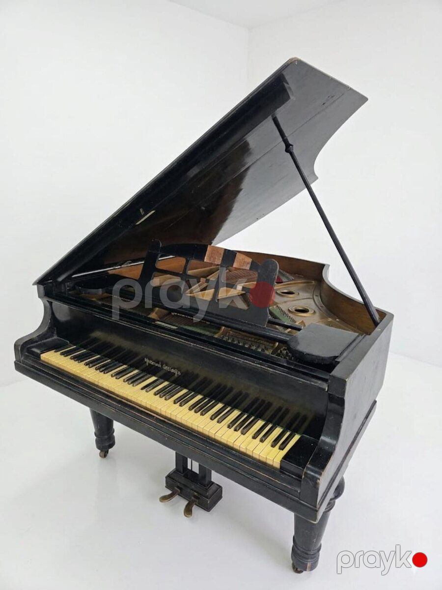 Piano Royal — Musiqiə alətləri, Astara (4)