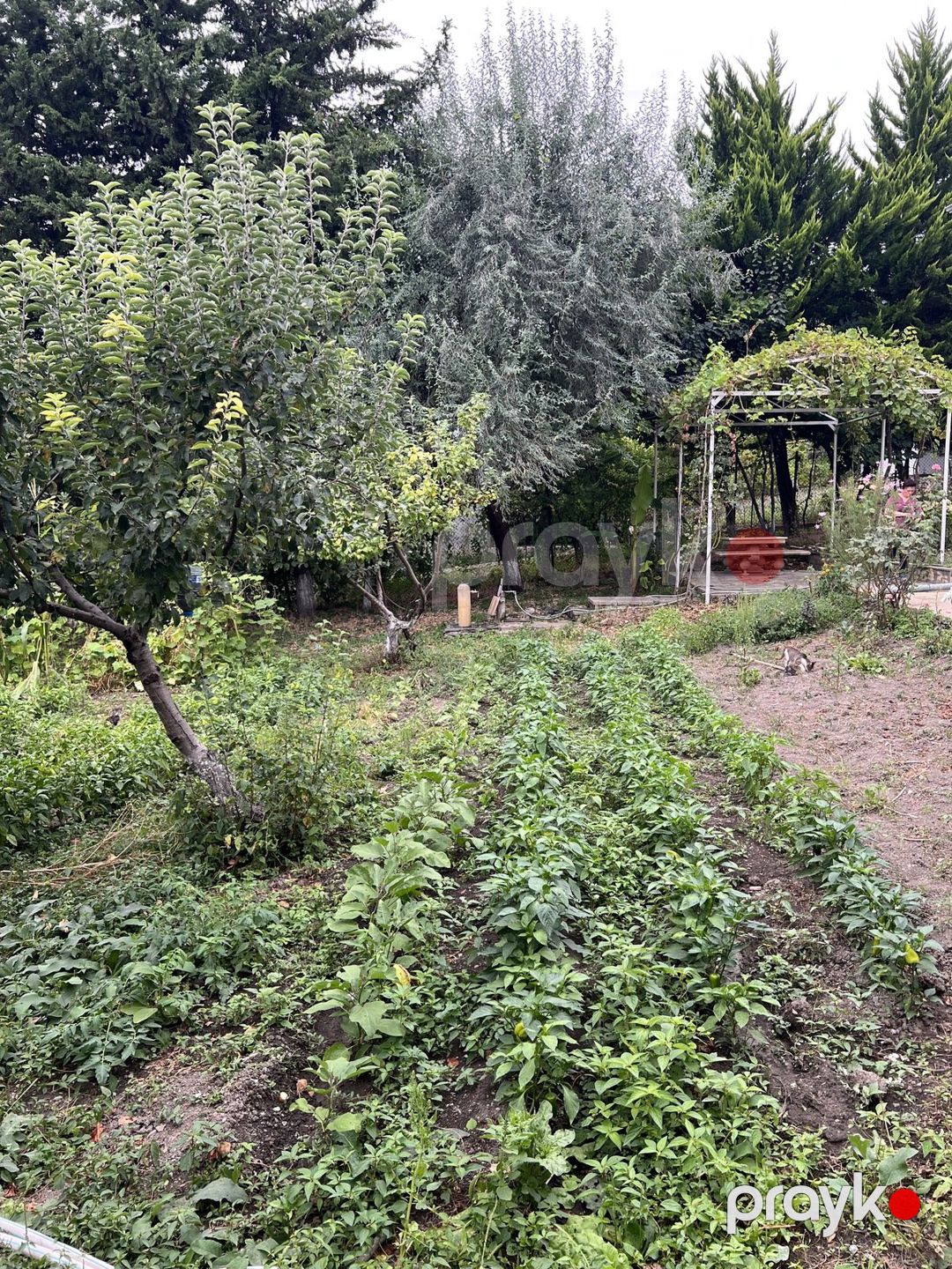 Satılır 7 otaqlı həyət evi/bağ evi 110 m² — Ev, villa, Oğuz (4)