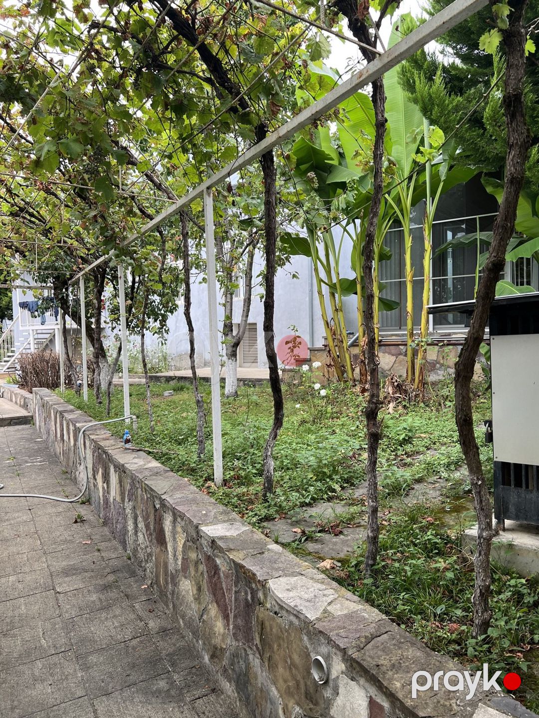 Satılır 7 otaqlı həyət evi/bağ evi 110 m² — Ev, villa, Oğuz (2)