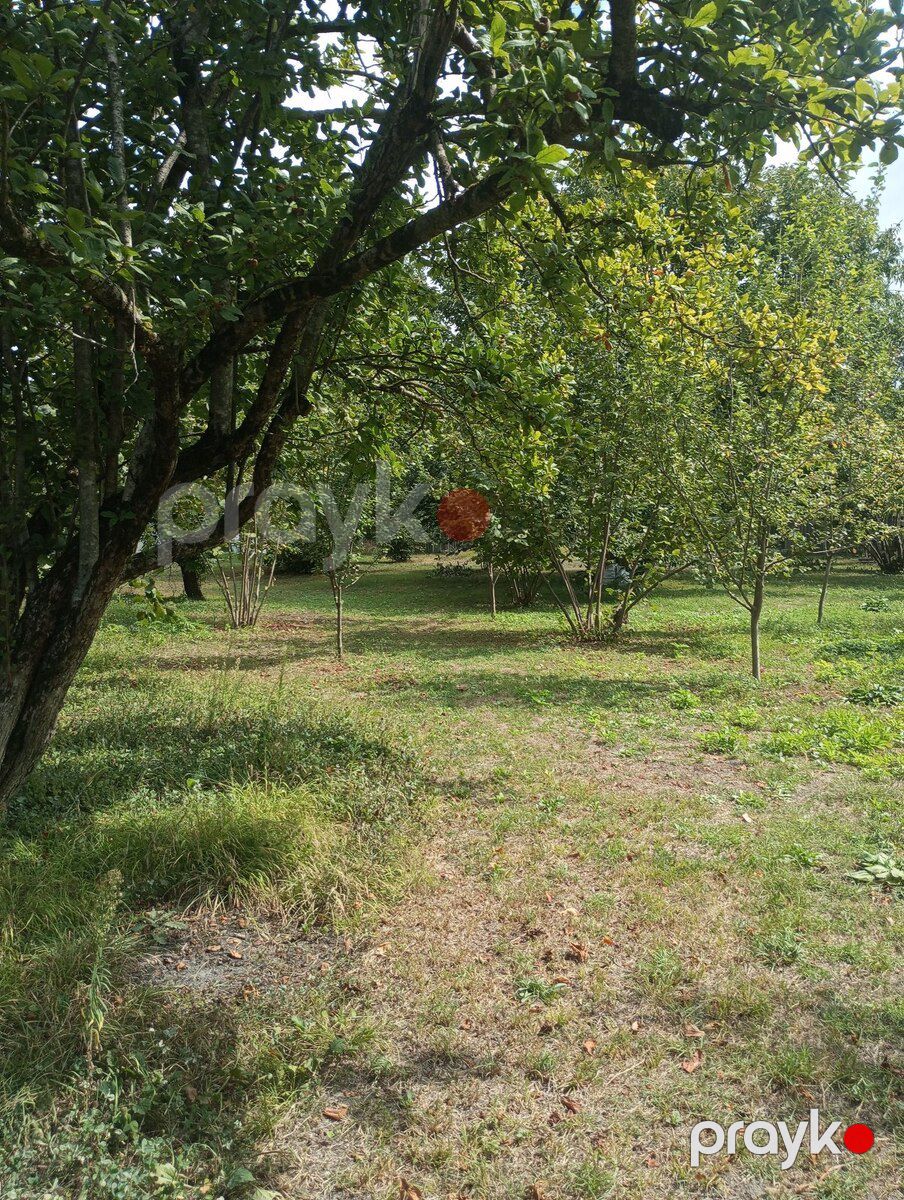 12 sot torpaq sahəsi, Qəbələ ş — Torpaq, Qəbələ (2)