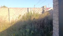 6 sot Torpaq, Satış, Bakı, Sabunçu, Koroğlu — Torpaq, Bakı (5)