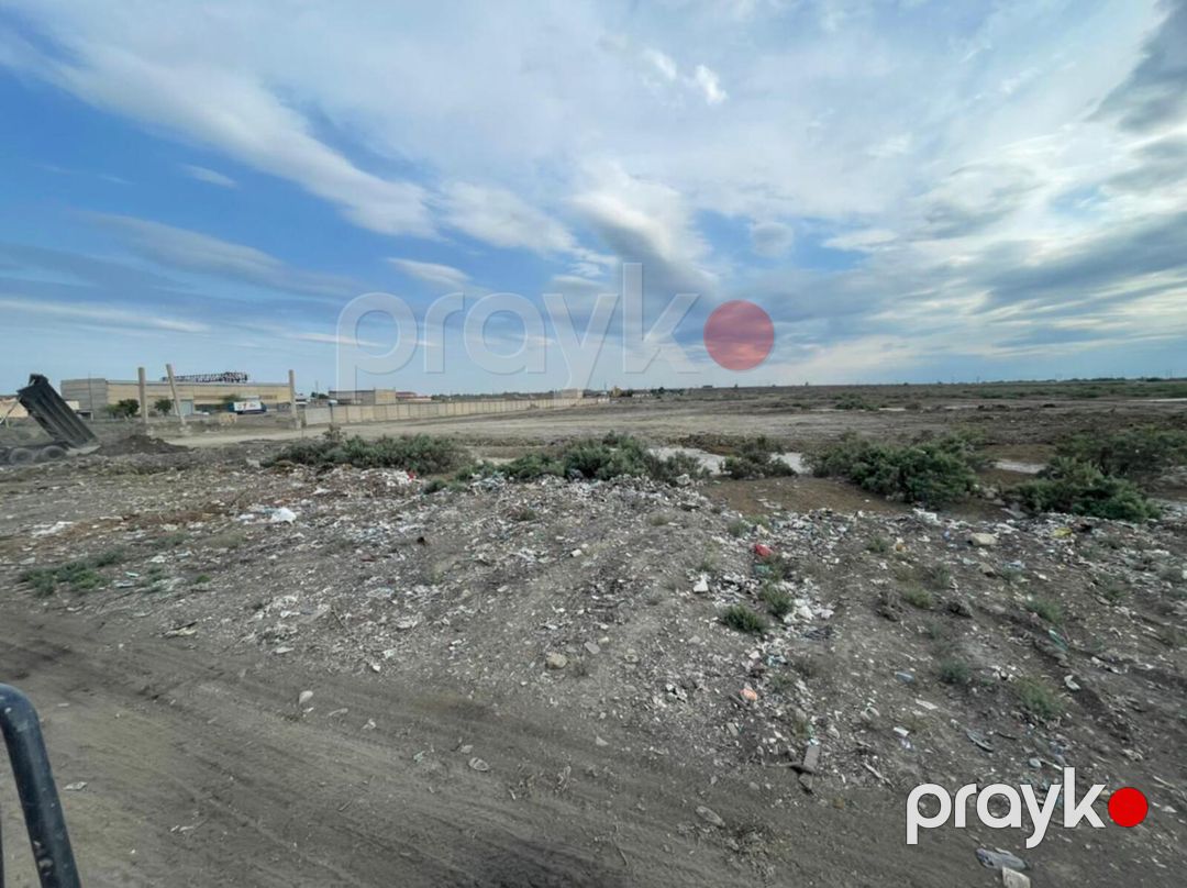 Satılır torpaq 250 sot — Torpaq, Yevlax (8)
