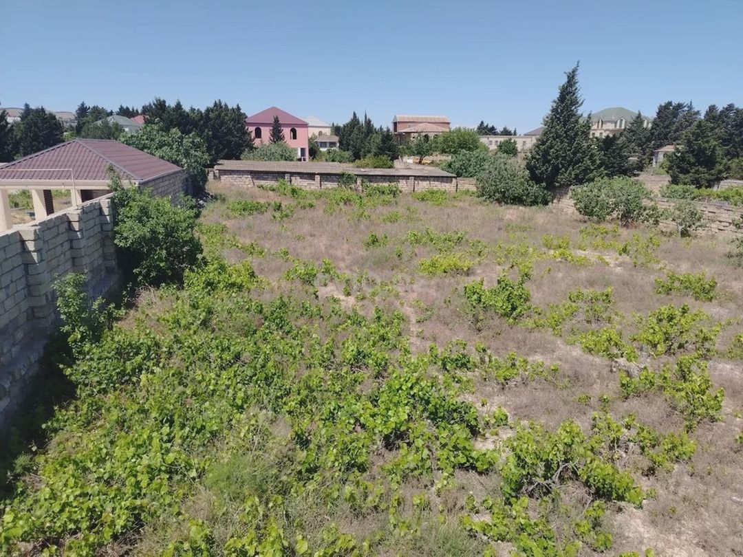 Torpaq sahəsi satılır Fatmayıda — Torpaq, Abşeron (3)